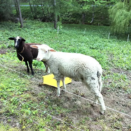Saechsische Schweiz